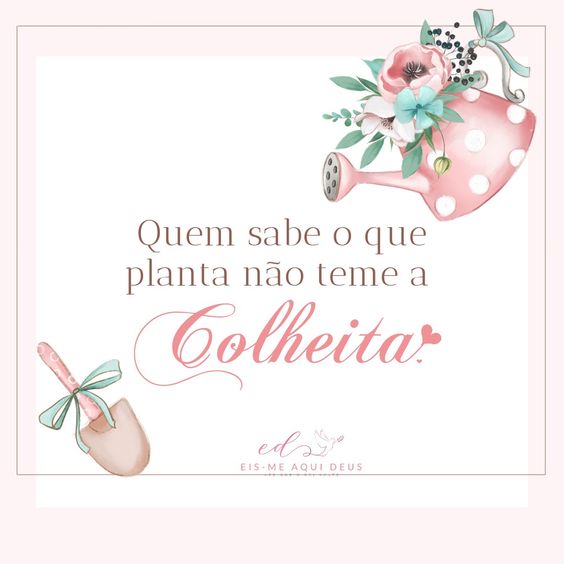 (Foto: Divulgação)