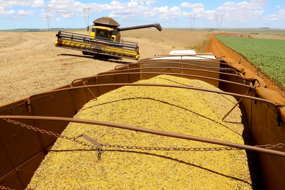 Boletim agropecuário analisa safra de 18,8 milhões de toneladas de soja e preços das carnes Foto: Jaelson Lucas/AEN