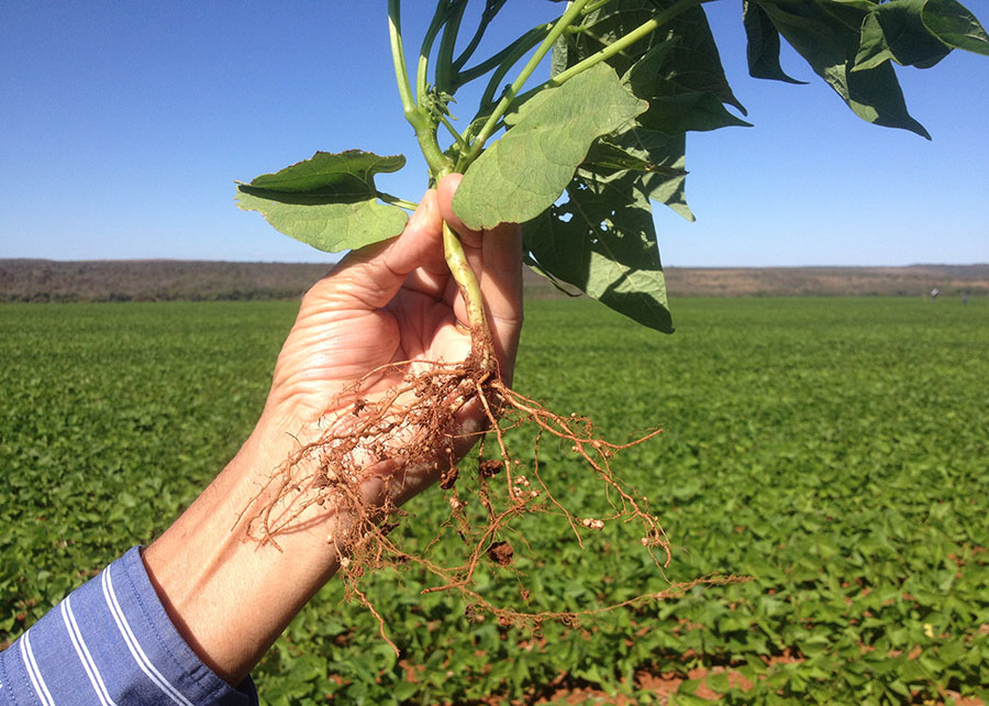 Foto: Enderson Ferreira