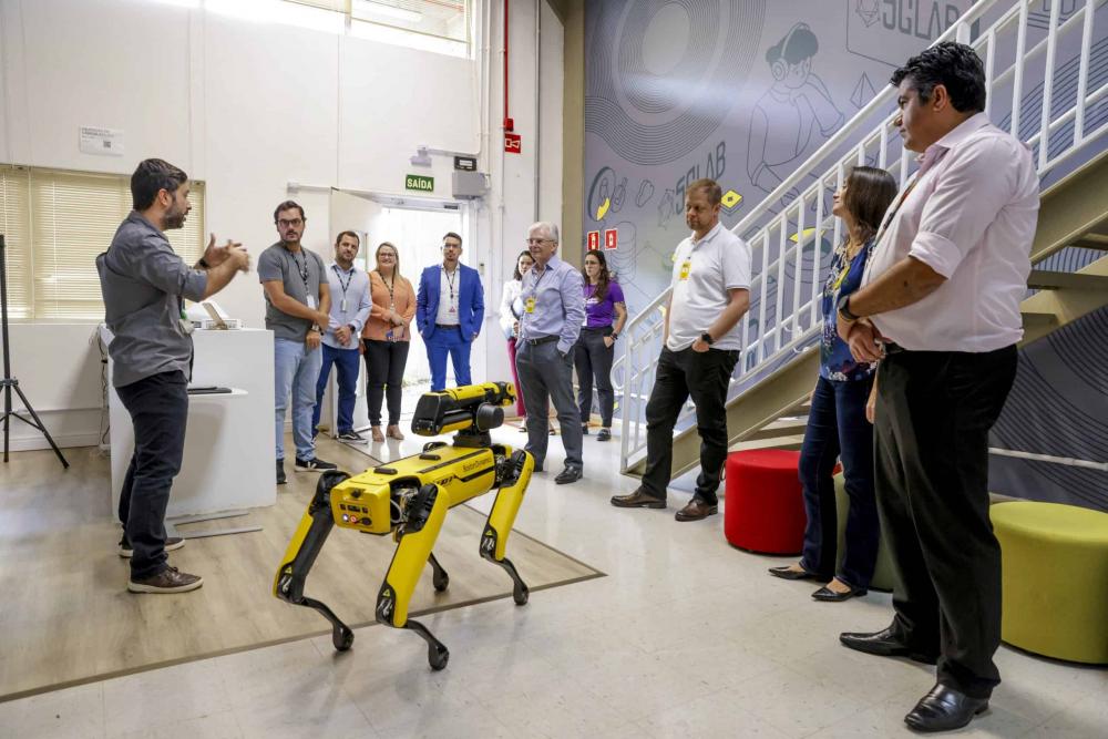 (Foto: Divulgação)