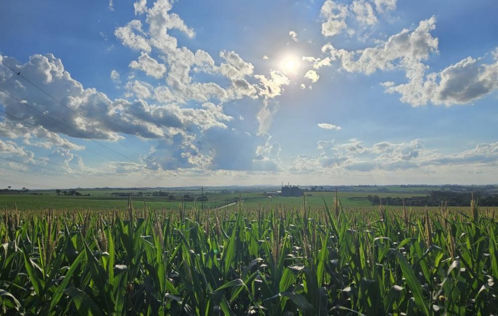 (Foto: Divulgação)