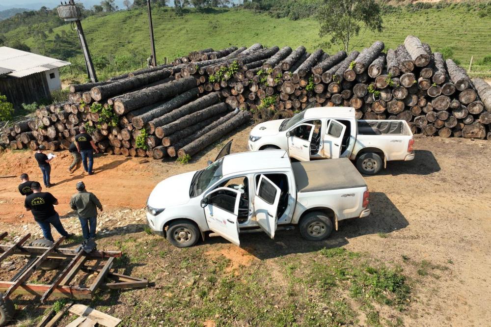 De multa a perda de premiações: as punições para quem comete crime ambiental no Paraná. Foto: IAT-PR