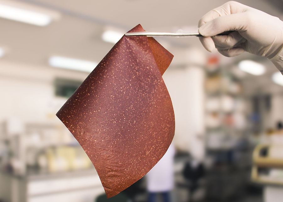 Photo: Mariana Franzoni