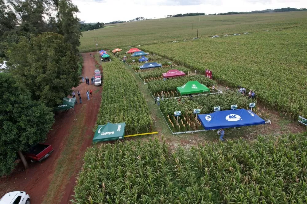 (Foto: Divulgação)