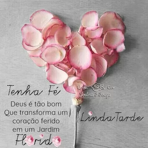 (Foto: Divulgação)