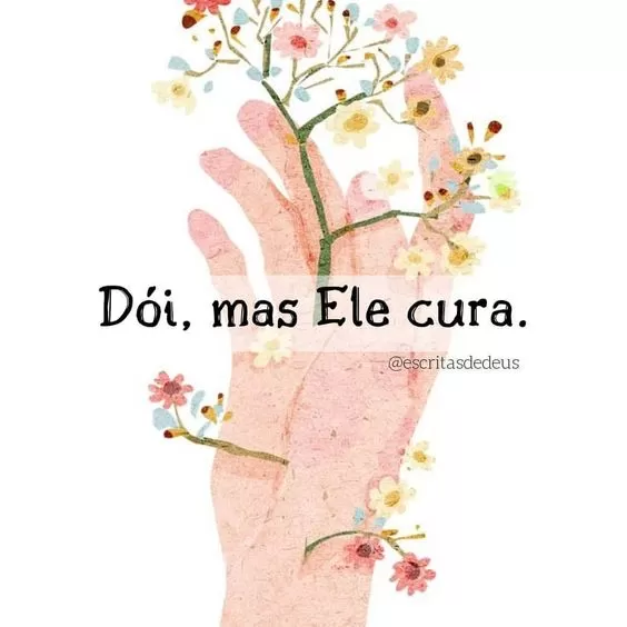 (Foto: Divulgação)