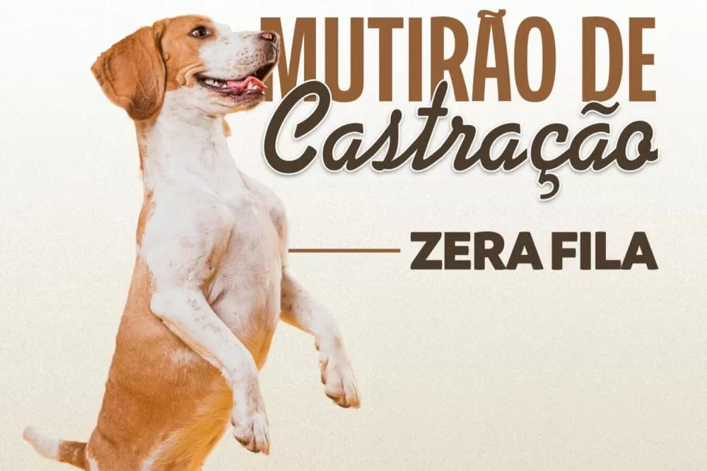 (Foto: Divulgação)