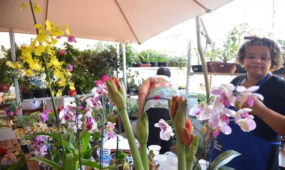 Jose Cruz/ Agência Brasil