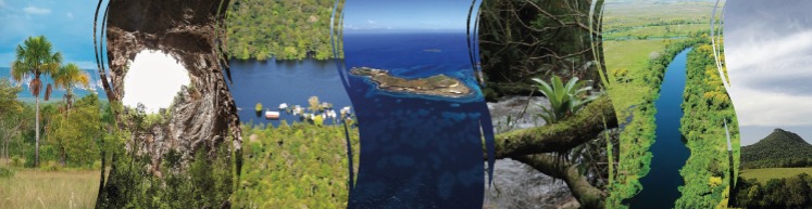 (Foto: Divulgação)