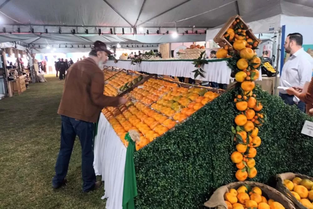 Cerro Azul promove Festa da Ponkan com apoio do Governo do Estado Foto: Evandro Fadel/SEAB-PR