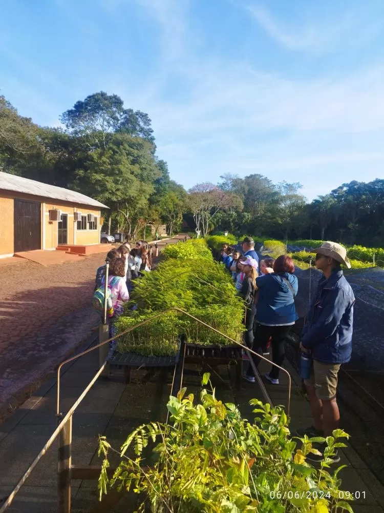 Crédito: Divulgação/ICC.