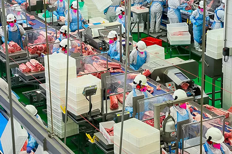 Atividade aquecida: no primeiro trimestre de 2024, o PIB cresceu 0,8% Foto: José Fernando Ogura