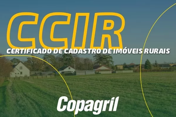 (Foto: Divulgação)