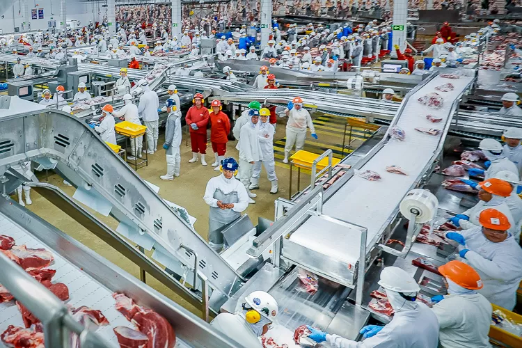 Taxa de desemprego recuou 1,8 ponto percentual e fechou 2023 em 7,8%, o menor nível desde 2014