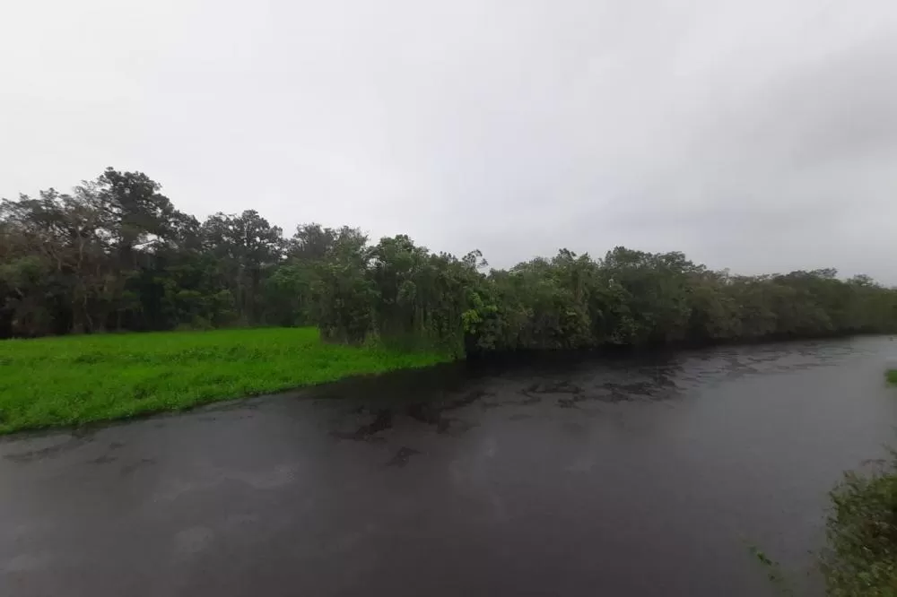 Estação Ecológica Rio das Pombas: Paraná ganha a 73ª Unidade de Conservação Foto: IAT-PR