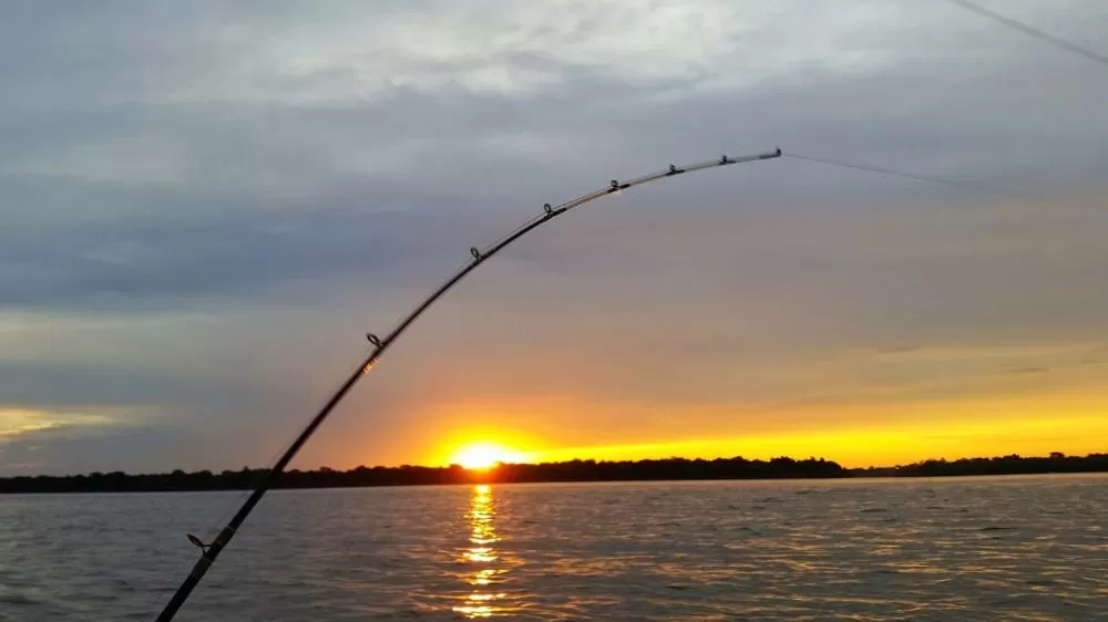 (Foto: Divulgação)