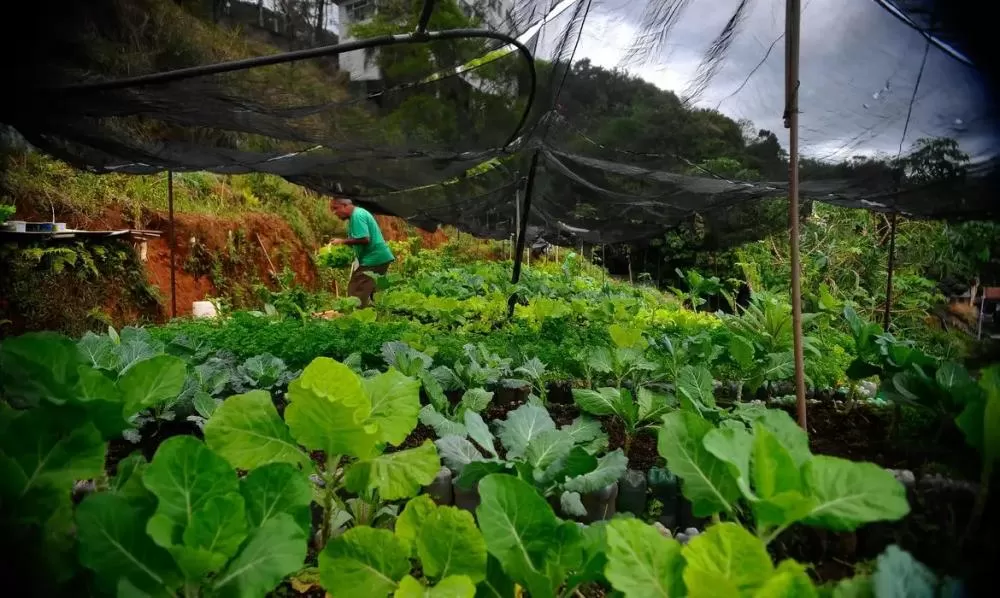 Proposta ainda prevê que os terrenos possam ser cedidos por um prazo prorrogável de cinco anos, de forma gratuita e sem necessidade de licitação