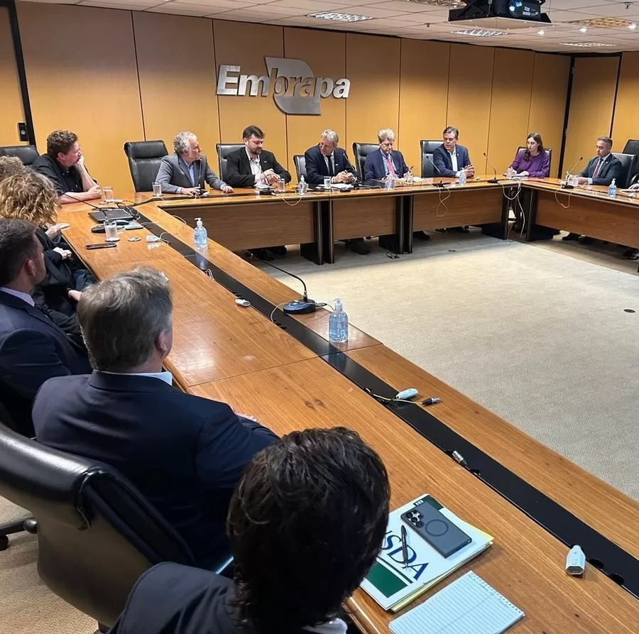 Photo: Robinson Cipriano