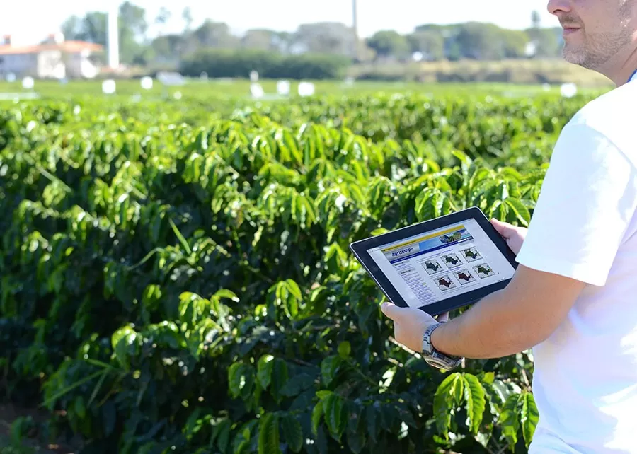 Foto: Neide e Makiko Furukawa