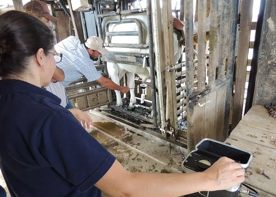 Foto: Raquel Brunelli