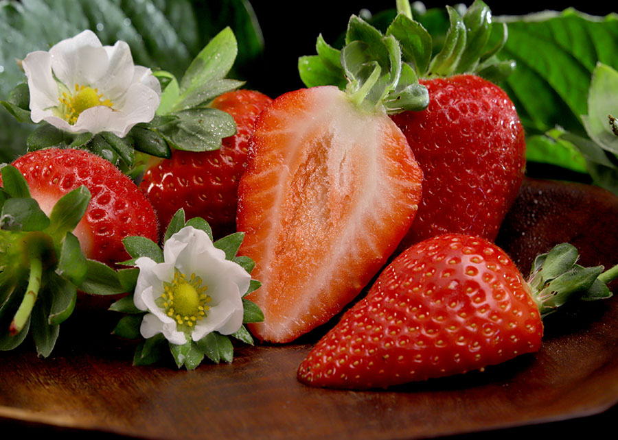 Foto: Paulo Lanzetta