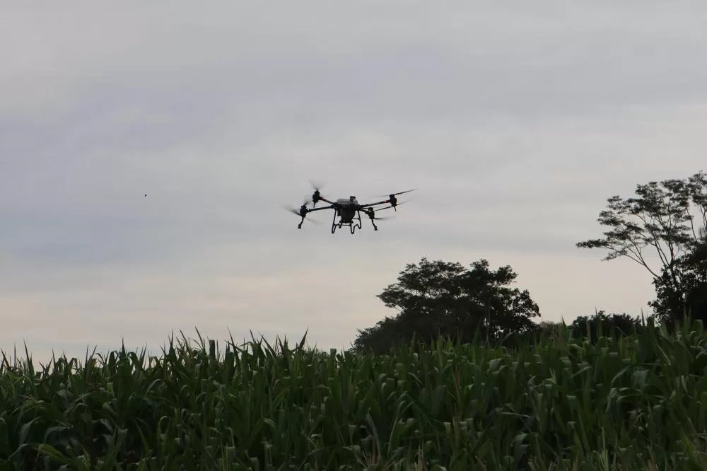 (Foto: Divulgação)