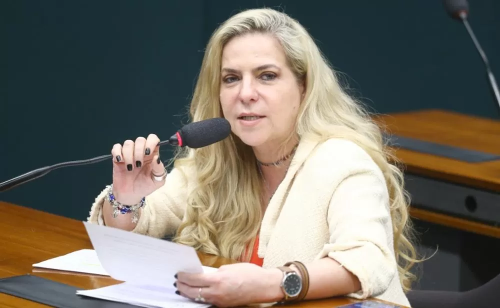 Deputada Luizianne Lins. Foto: Vinicius Loures/Câmara dos Deputados
