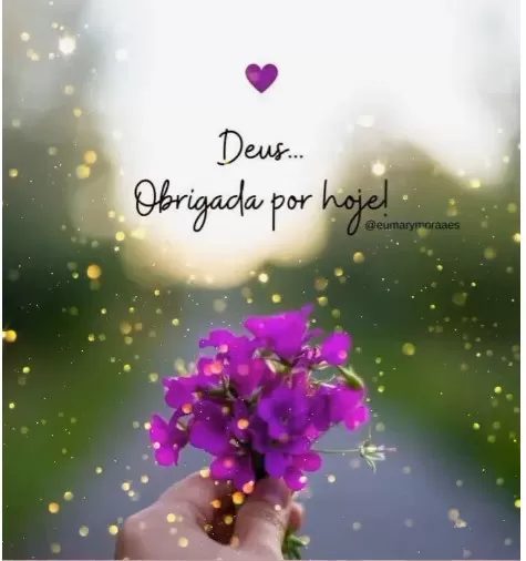 (Foto: Divulgação)