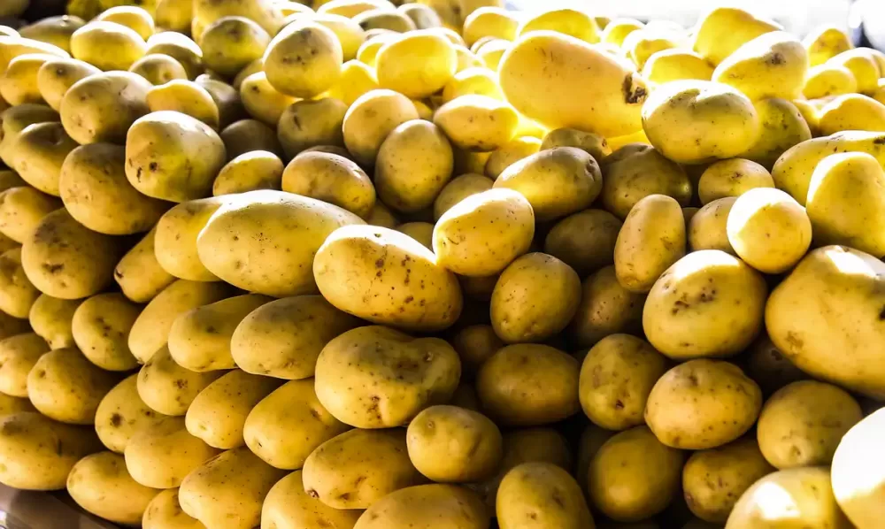 Valter Campanato/Agência Brasil