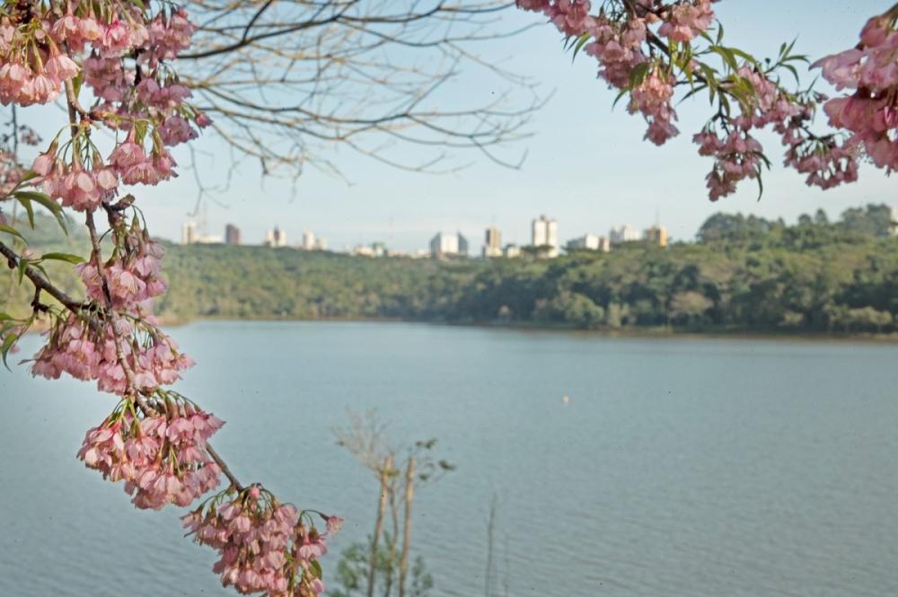 Fotos: Manoel Teixeira e Silvia Soluszynski