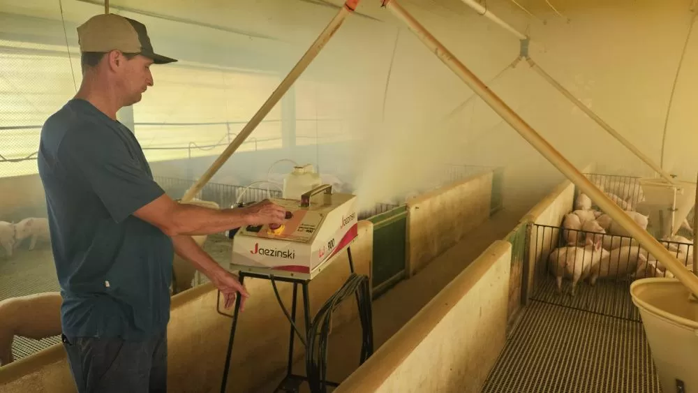 (Foto: Divulgação)