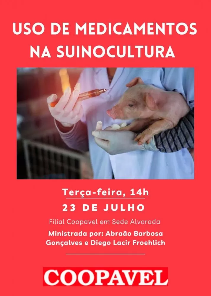 (Foto: Divulgação)