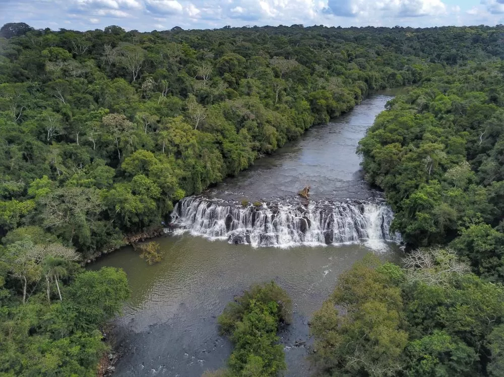 Mata ciliar aumenta 12% no Paraná com proteção de nascentes e plantio de mudas Foto: José Fernando Ogura/Arquivo AEN
