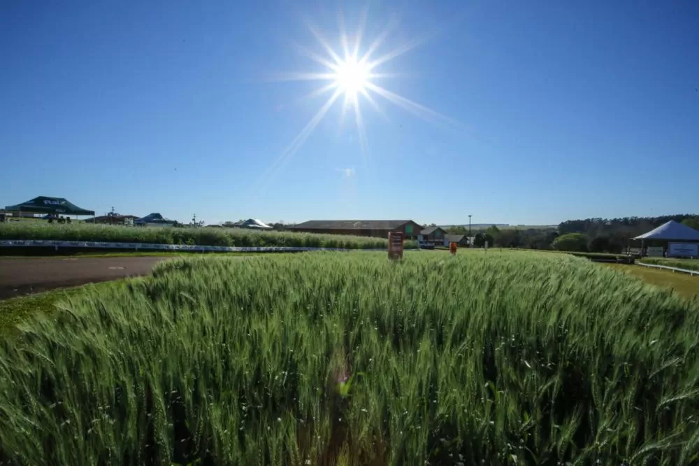 Legenda: A edição do ano passado reuniu 36 mil pessoas de várias regiões do Paraná e Brasil Crédito: Assessoria
