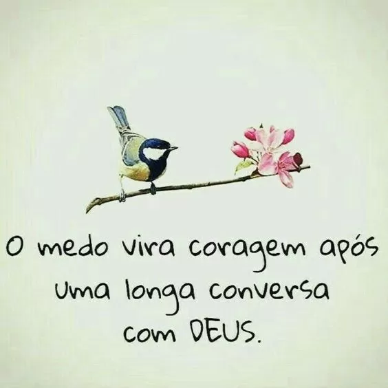 (Foto: Divulgação)