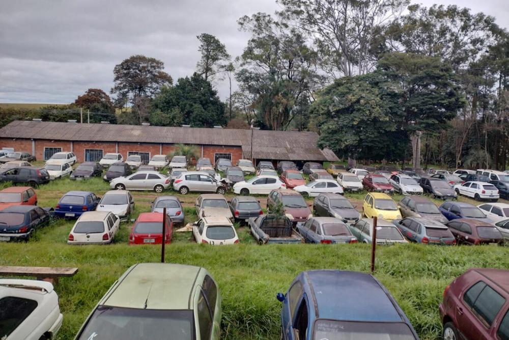 (Foto: Divulgação)