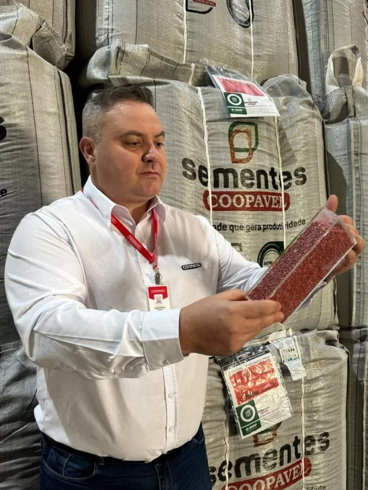 Anderson Granville, gerente de Comercialização e Produção de Sementes da Coopavel Crédito: Assessoria