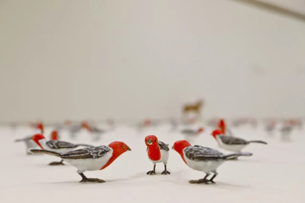 Museu Oscar Niemeyer oferece oficinas e visitas mediadas gratuitas em agosto Foto: Antonio More