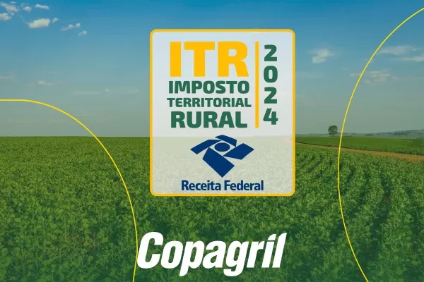 (Foto: Divulgação)