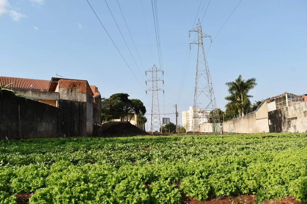 Programa da Copel, Cultivar Energia inaugura segunda horta comunitária em Londrina Foto: Copel