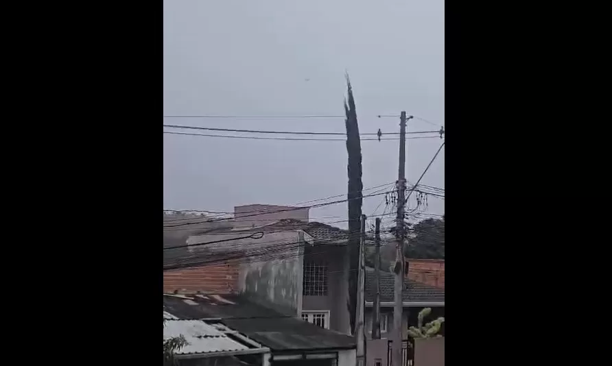 (Foto: Divulgação)