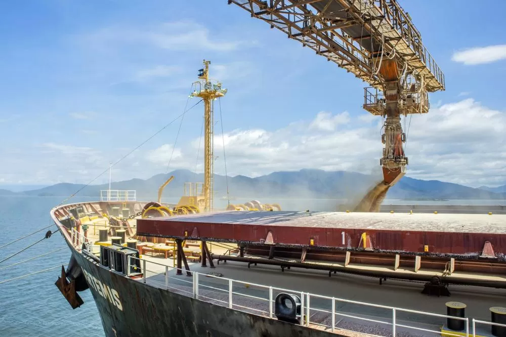 Exportações de soja, açúcar, combustíveis e frango batem recorde no Paraná em 2024 Foto: Claudio Neves/Portos do Paraná