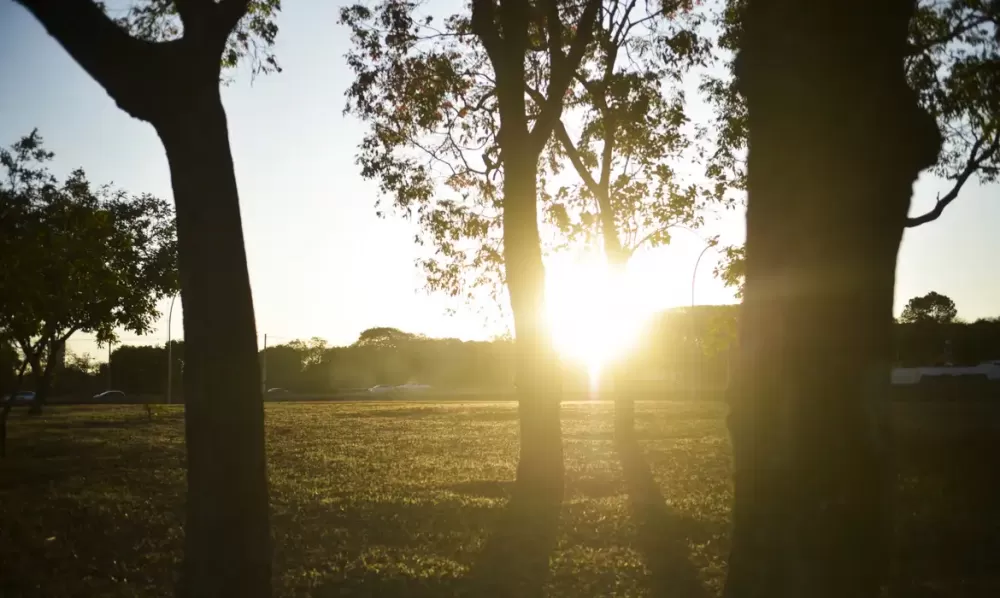 Marcello Casal Jr/ Agência Brasil
