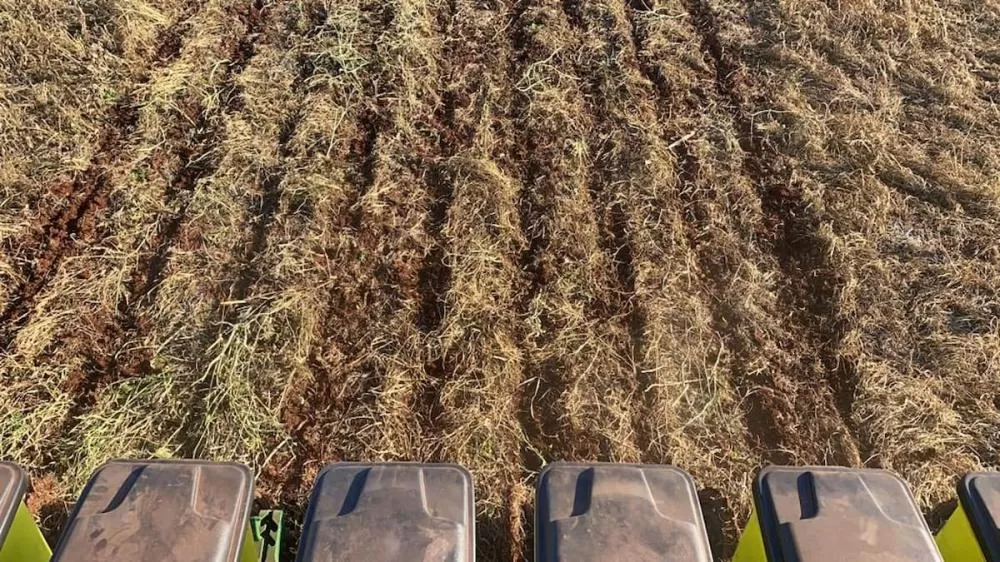 Legenda: Plantio direto na palha é uma das estratégias da agricultura de baixa emissão de carbono Crédito: Eduardo Ames/RS