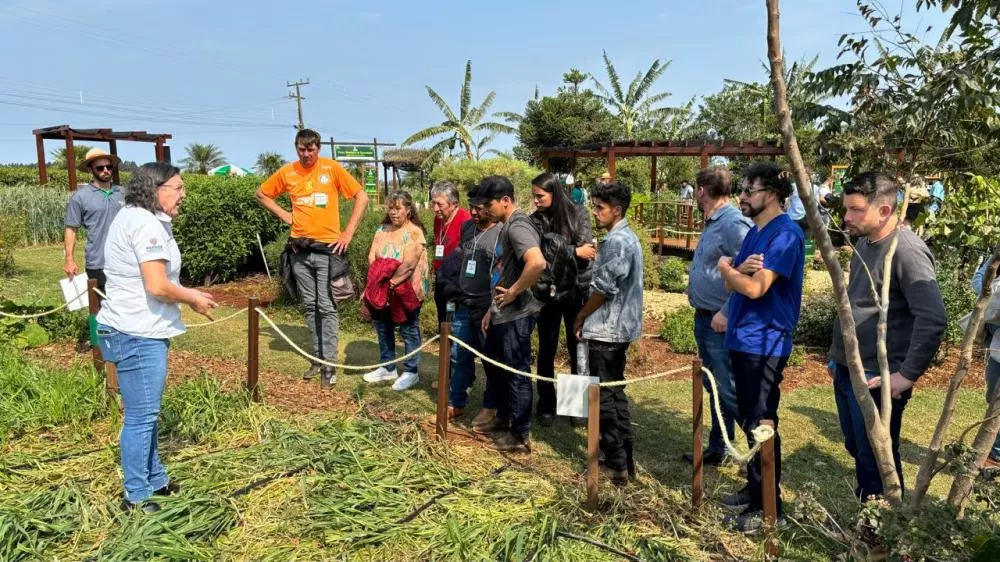 Fotos: Lucas V. de Araújo/Divulgação.