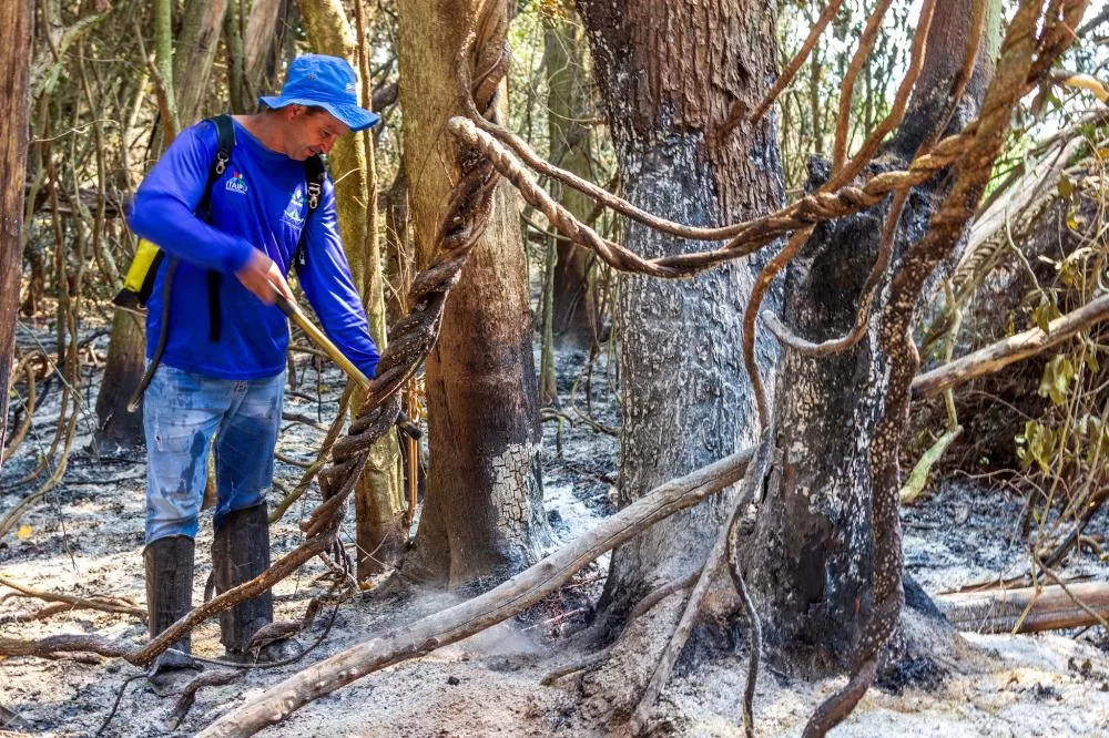 Crédito: Edino Krug/Itaipu Binacional