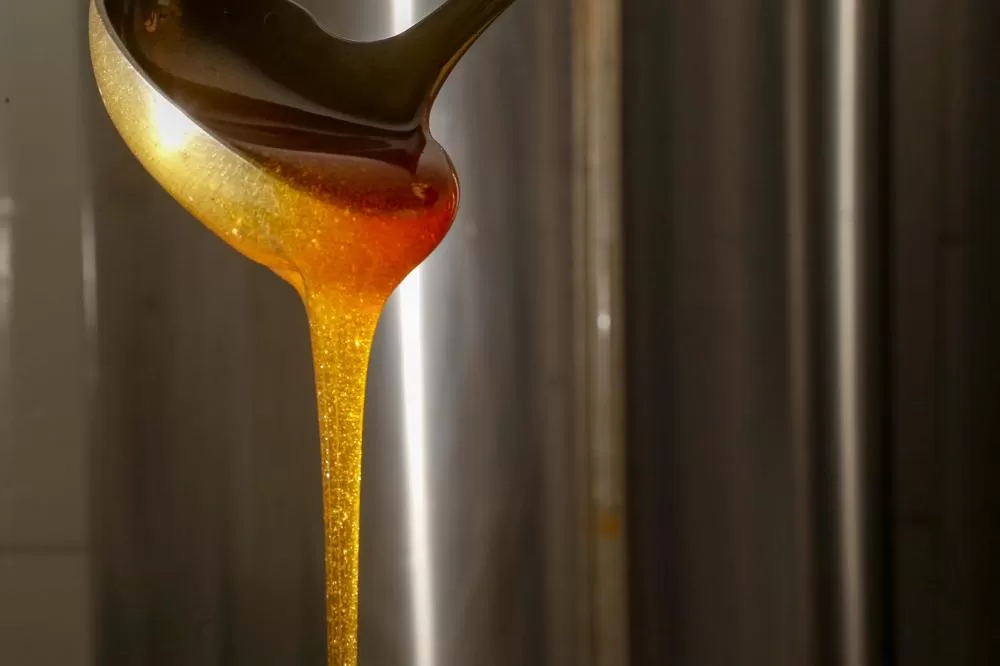 Exportação de mel pelos portos do Paraná cresce 376% Foto: Gilson Abreu/AEN