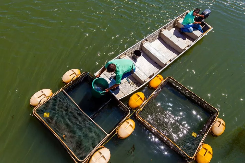 Fotos: Rubens Fraulini/Itaipu Binacional