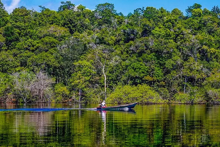 Preservação: desde o início do governo Lula, o Ministério do Meio Ambiente vem registrando um histórico de quedas no desmatamento Foto: Fábio Robrigues Pozzebom/Agência Brasil