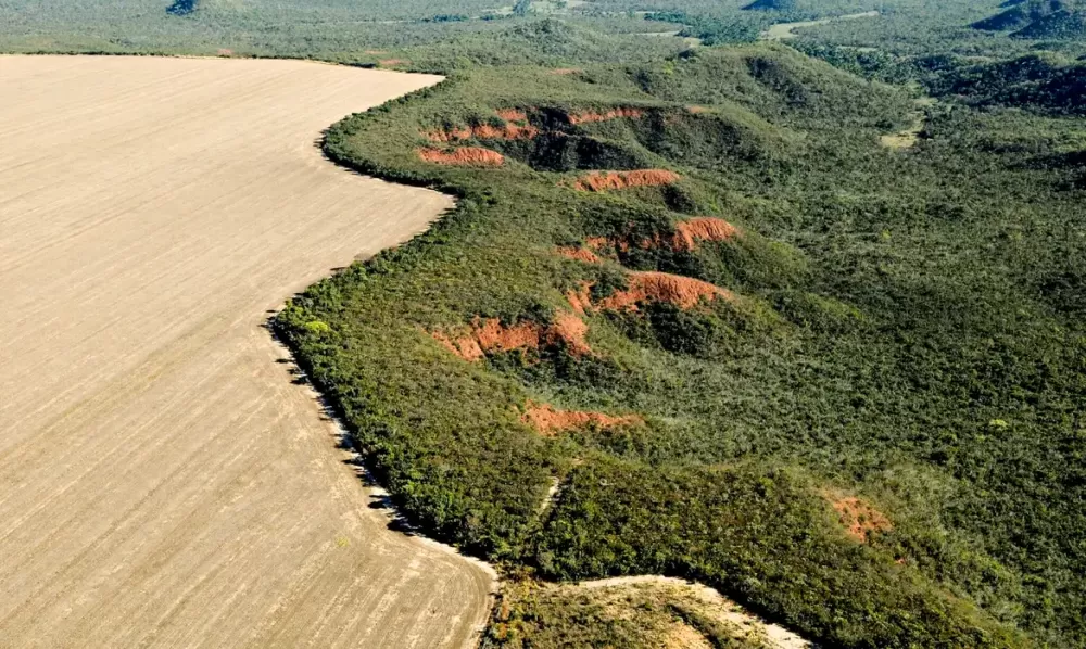 Adriano Gambarini/WWF Brasil